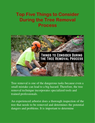 Top Five Things To Consider During The Tree Removal Process