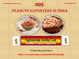 Best Peanuts Exporters In India For You