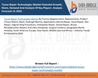 Tissue Repair Technologies Market Potential Growth, Share, Demand And Analysis Of Key Players- Analysis Forecasts To 202