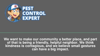 Pest Control Company - Pest Control Expert