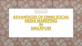 Advantages of SMM in ALAB Singapore