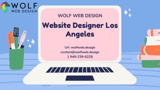 Website Designer Los Angeles CA