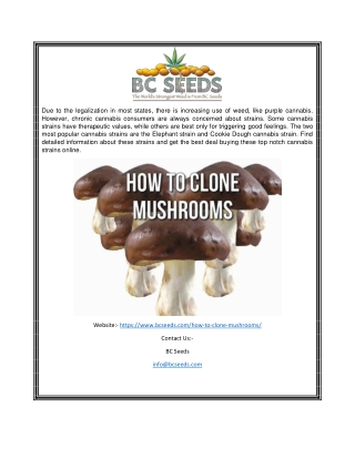 Cloning Mushrooms | Bcseeds.com