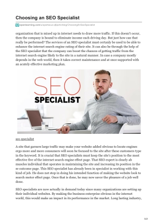 seo specialist