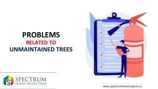 Problems Related to Unmaintained Trees