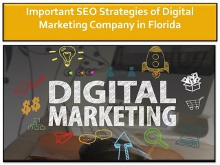 Digital Marketing Company in Florida