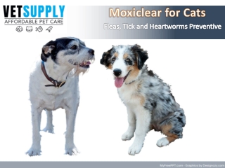 Buy Branded Moxiclear Flea, Heartworm and Tick Treatment for Cats - VetSupply