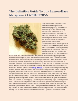 The Definitive Guide To Buy Lemon-Haze Marijuana  1 6784037856