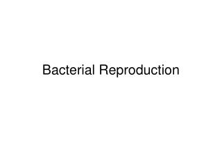 Bacterial Reproduction