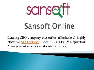 Wordpress SEO Service