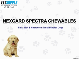 Buy Branded Nexgard Spectra Flea and Tick Treatment for Dogs - VetSupply