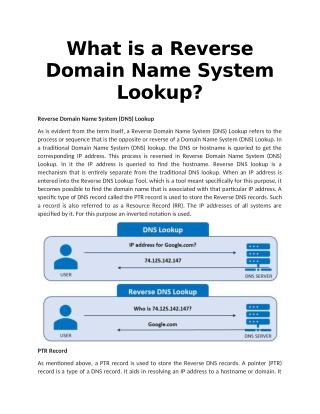 What is a Reverse Domain Name System Lookup?