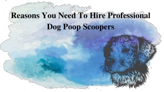 Reasons You Need To Hire Professional Dog Poop Scoopers