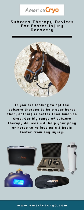Equine Cryotherapy Equipment