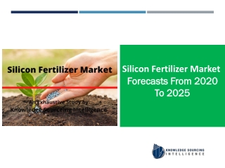 Silicon Fertilizer Market  Research Report- Forecasts From 20219To 2025