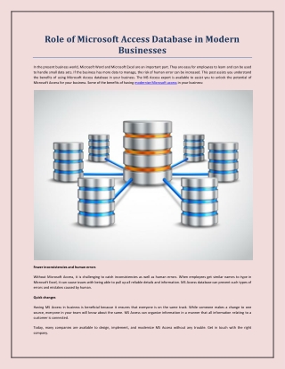 Role of Microsoft Access Database in Modern Businesses