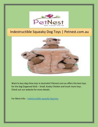 Indestructible Squeaky Dog Toys | Petnest.com.au