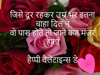 Valentine Day Status Shayari in Hindi and English
