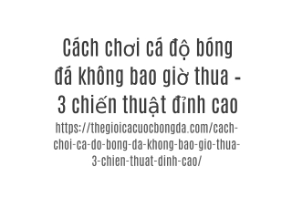 Cách chơi cá độ bóng đá không bao giờ thua – 3 chiến thuật đỉnh cao