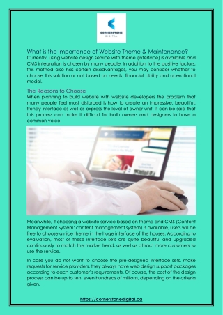 What is the Importance of Website Theme & Maintenance?