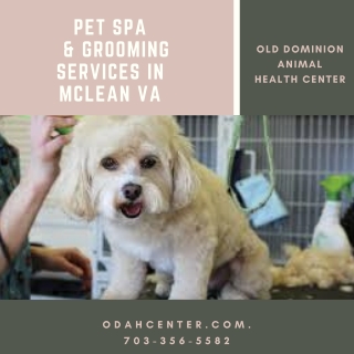 Pet Spa & Grooming Services in McLean VA