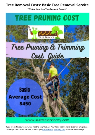 Tree removal Nassau county NY.1611098222