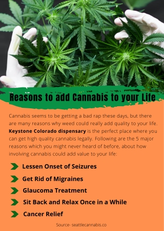 Reasons to have Cannabis in your Life