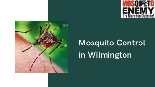 Mosquito Control in Wilmington