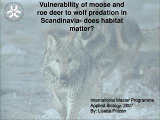 Vulnerability of moose and roe deer to wolf predation in Scandinavia- does habitat matter?