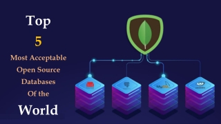 MongoDB's role as the most popular open-source database management system