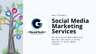 Social Media Marketing Services | Geek Tech