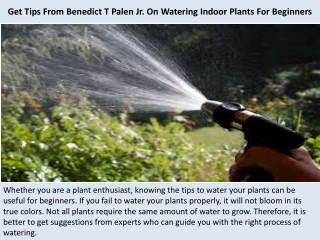 Get Tips From Benedict T Palen Jr. On Watering Indoor Plants For Beginners