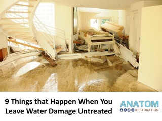 9 Things that Happen When You Leave Water Damage Untreated