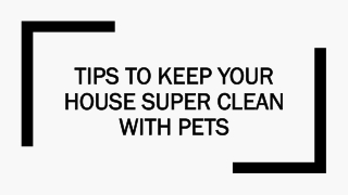 10 Tips To Keep Your House Super Clean With Pets