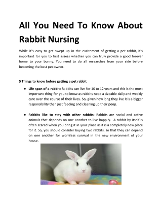 All You Need To Know About Rabbit Nursing
