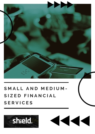 Small and Medium-sized Financial Services - Shield