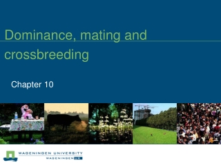 Dominance, mating and crossbreeding