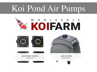 Koi Pond Air Pumps