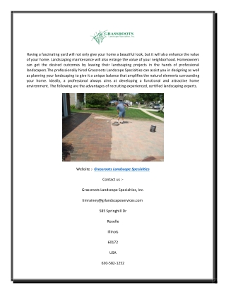 Paver cleaning, Sealing and Repair services