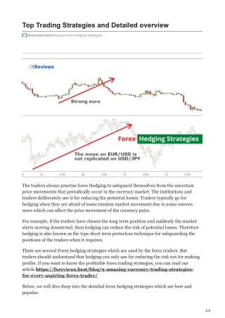 Top Forex Hedging Strategies and its Dynamics