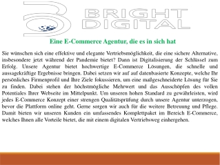 Eine E-Commerce Agentur, die es in sich hat