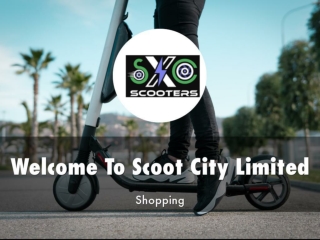 Detail Presentation About Scoot City Limited