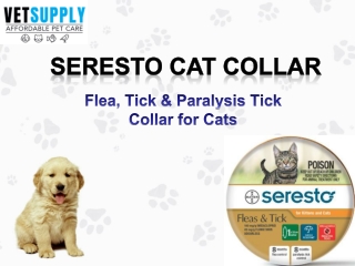 Buy Seresto Flea and Tick Collar for Cats at best price in Australia - VetSupply