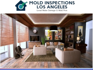 Professional Mold Testing La