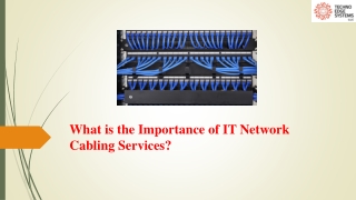 What is the Importance of IT Network Cabling Services in Dubai