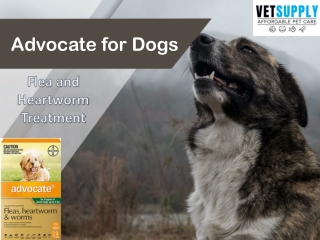 Buy Advocate Flea and Heartworm Treatment for Dogs at best price in Australia - VetSupply