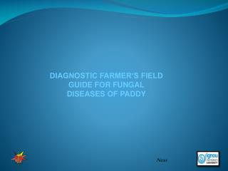 DIAGNOSTIC FARMER‘S FIELD GUIDE FOR FUNGAL DISEASES OF PADDY