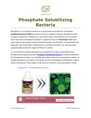 Phosphate Solubilizing Bacteria