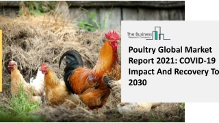 Poultry Market Industry Outlook, Opportunities in Market And Expansion By 2030