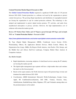 Global Content Protection Market Research Report